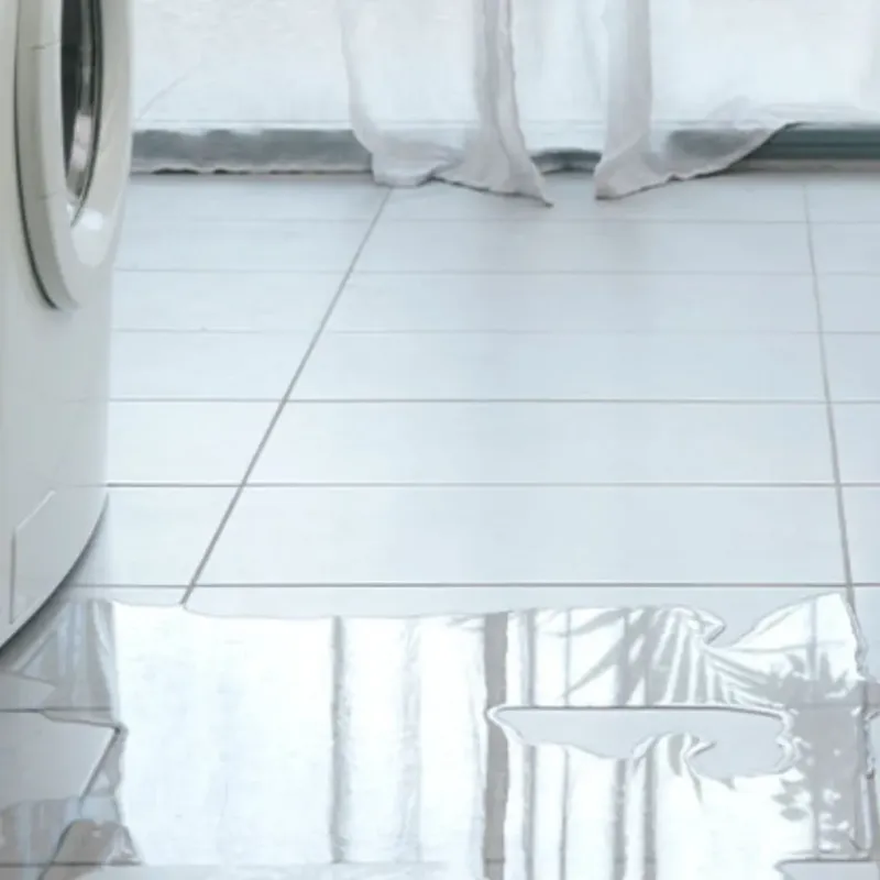 Appliance Leak Cleanup in Twin Grove, IL