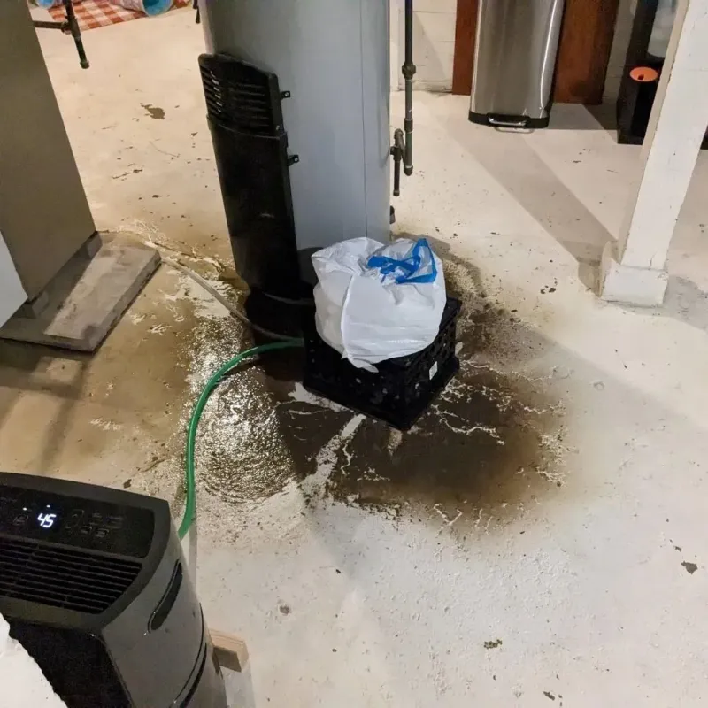 Sewage Backup Cleanup Service in Twin Grove, IL